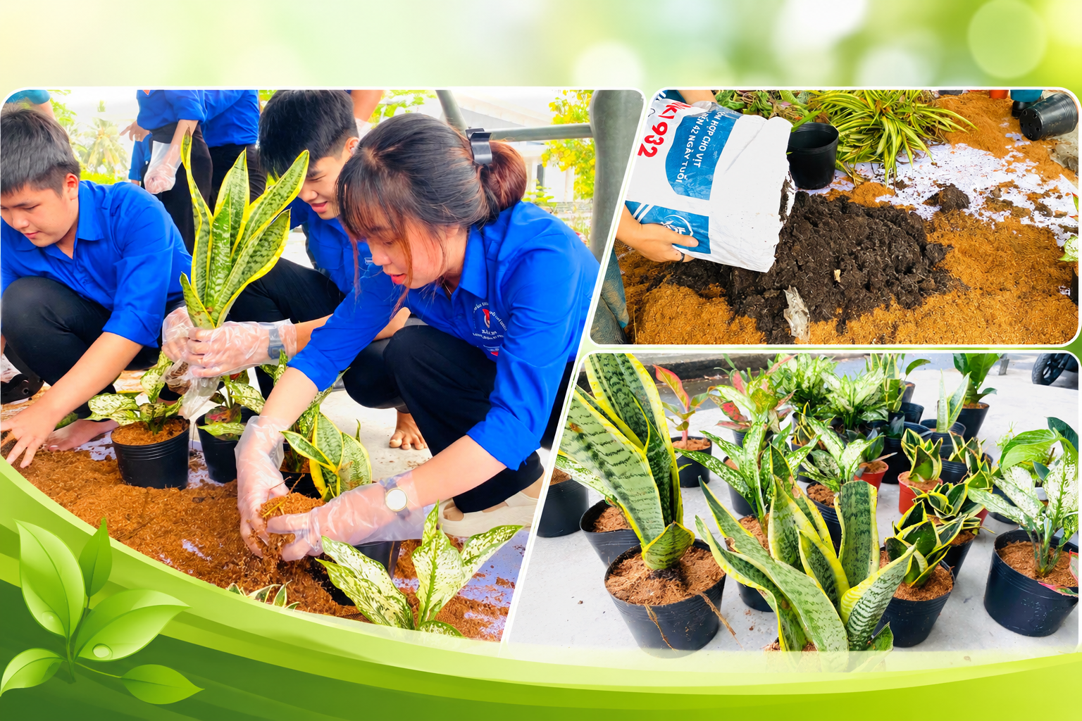 Mỏ Cày thực hiện mô hình “Vườn ươm thanh niên”